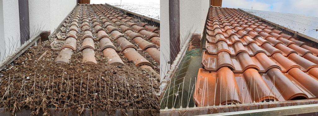 attrezzature anti-volatili per tetti e balconi lariana